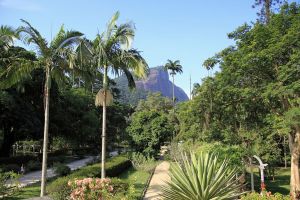 Jardim_Botanico_Rio
