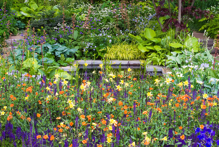 Flower garden with strong colors